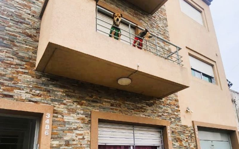 Departamento en Alquiler en Lanus Oeste 